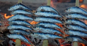 Sardinas – Alimento del mes