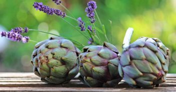 El alimento del mes: la alcachofa alcachofa