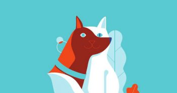 ¿Por qué deberíamos tener un seguro para nuestras mascotas? seguro para mascotas