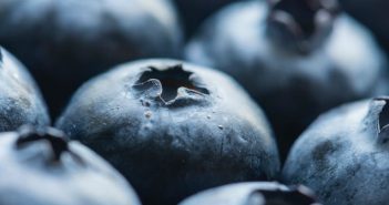 Los antioxidantes: qué son, beneficios y alimentos que los contienen antioxidantes