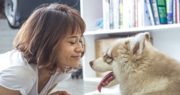 Cómo influyen las mascotas en nuestro bienestar emocional mascotas estado de ánimo
