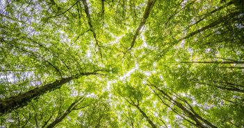 ¿Qué podemos hacer en nuestro día para ayudar a conservar el medio ambiente? medioambiente