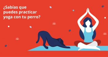 El doga: practicar yoga con nuestro perro doga