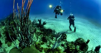 Buceo: beneficios y recomendaciones del deporte del verano Buceo