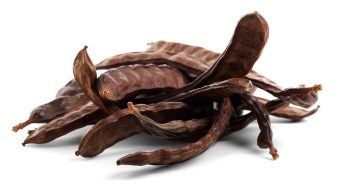 Alimento del mes: 15 beneficios del cacao de algarroba algarroba