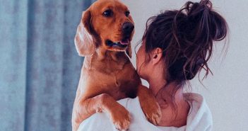 ¿Qué supone que las mascotas sean legalmente miembros de la familia? ley animales compañía