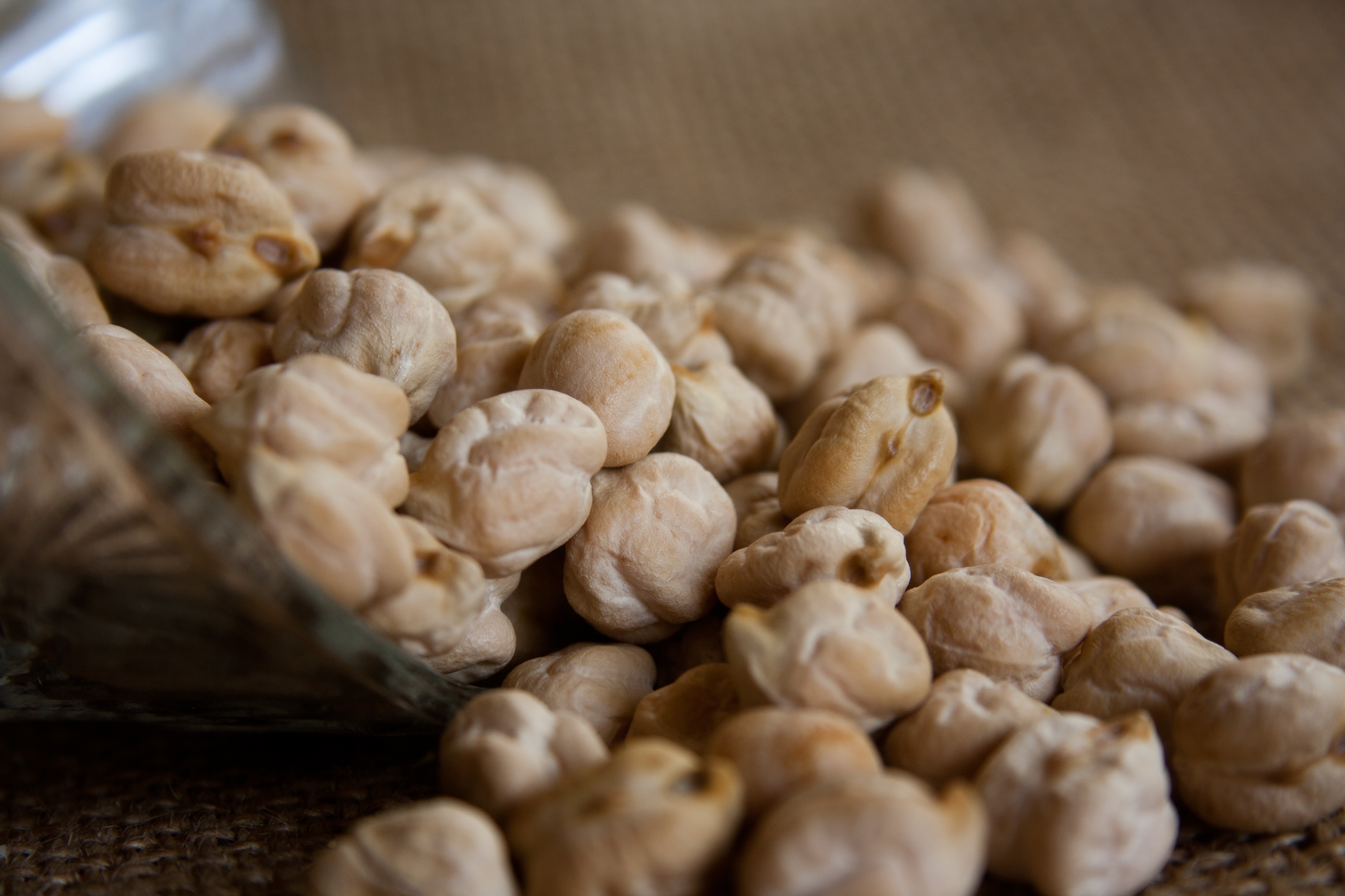 alimentos otoñales