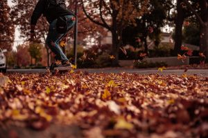 cambios con el otoño