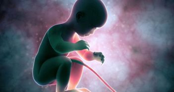 Células madre del cordón umbilical, el futuro de la medicina regenerativa Células madre del cordón umbilical