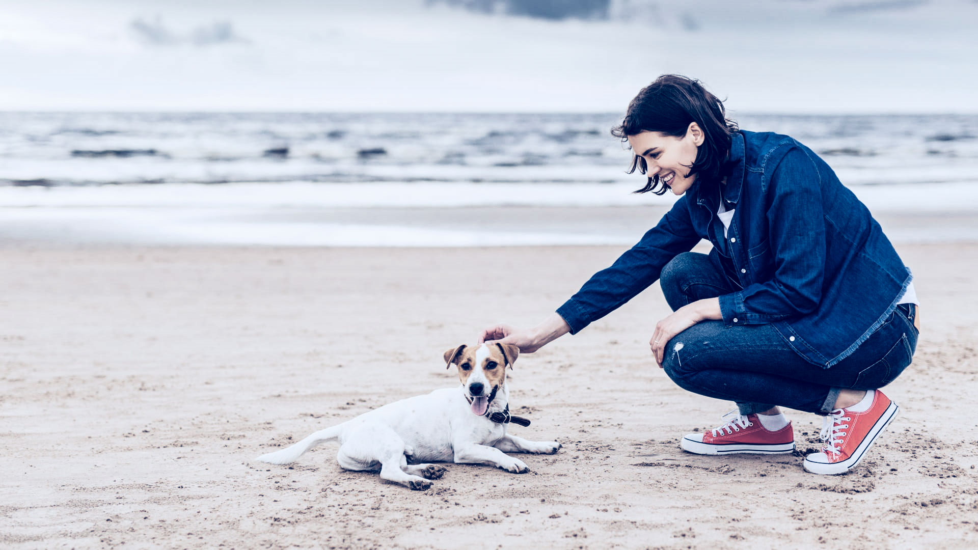 mascota que tiene puesto un microchip