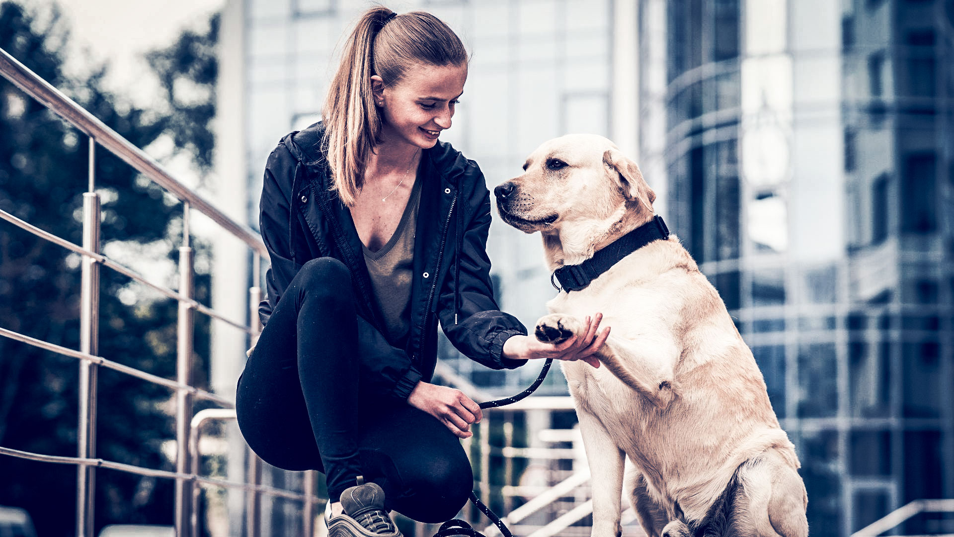 perros de asistencia para personas con diabetes