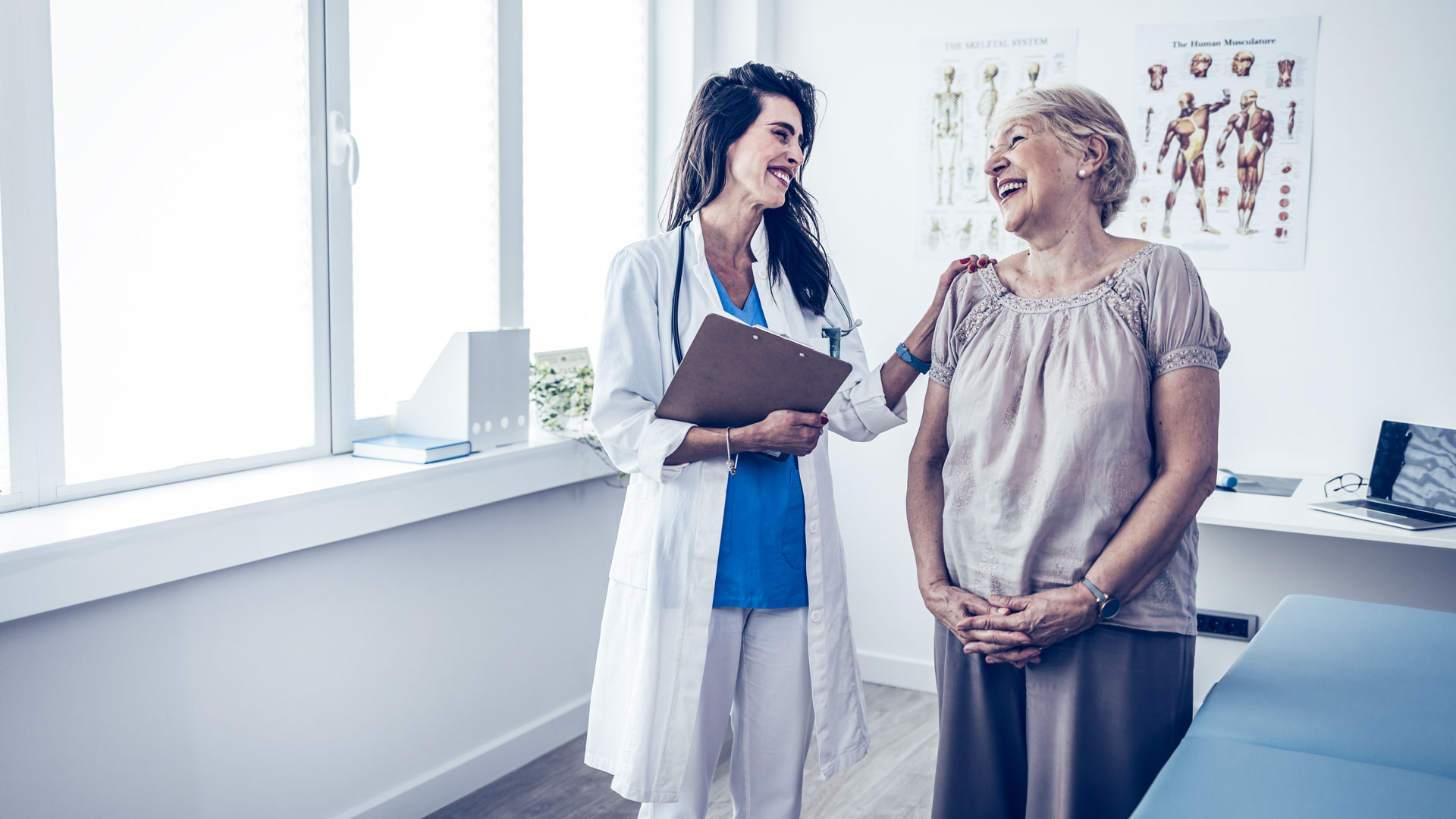 fitoterapia en menopausia